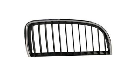 BMW Kidney Grille - Front Passenger Side 51137120008